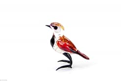 Vogel Zwart Rood FL.018 1