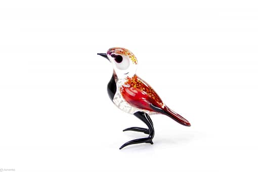 Vogel Zwart Rood FL.018 1